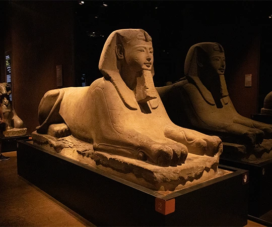 museo egipcio turin